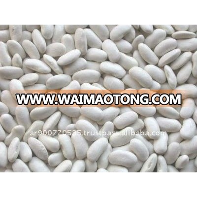 White kidney beans