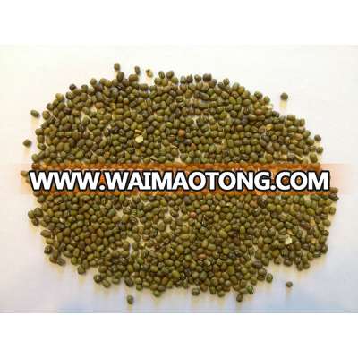 Green mung beans